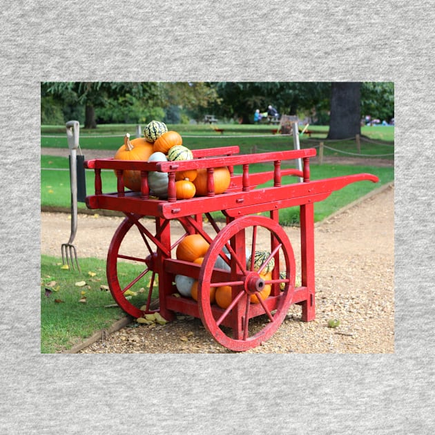 Cart of Pumpkins by pinkal